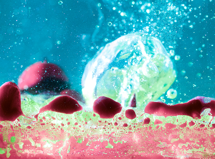 Quicksilver Scientific Consultations