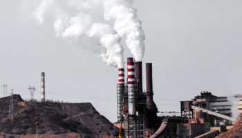 Healthy Living in a Toxic World