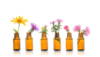 5 Common Myths about Naturopathic Medicine