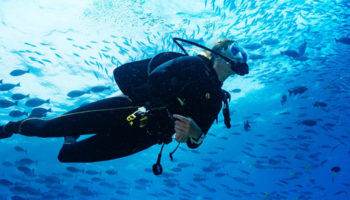 Diving In – A Perfect Therapy