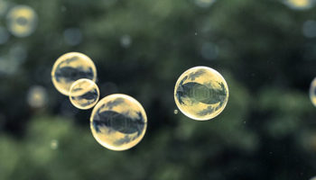 The Brain That’s Not In Your Head