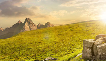 The Healing Power of Nature