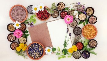 The Vital Role of Naturopathic Medicine
